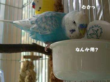 画像 311.jpg