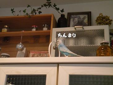画像 096.jpg