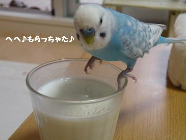 画像 063.jpg