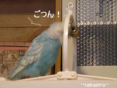 トンネルそらぴ☆2008.12.3.JPG
