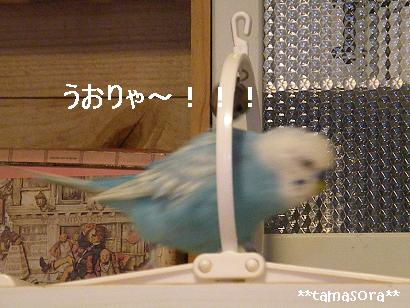 トンネルそらぴ★2008.12.3.JPG