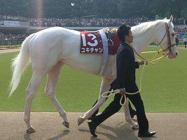 ゆきちゃん2008.4.27.JPG