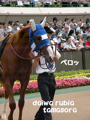 画像 771.jpg