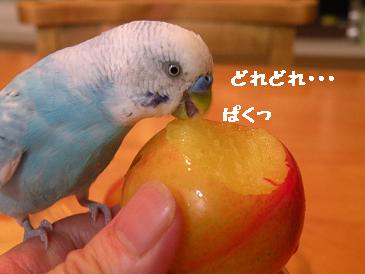 画像 1162.jpg