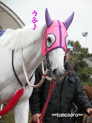 シンシンマーキーの微笑み♪2009.1.21.JPG