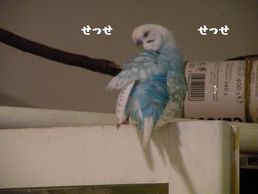 画像 210.jpg