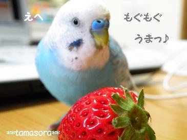 もぐもぐ♪2009.1.23.JPG