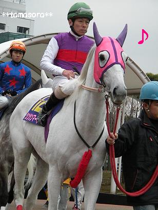 シンシンマーキーと早田騎手♪2009.1.21.JPG