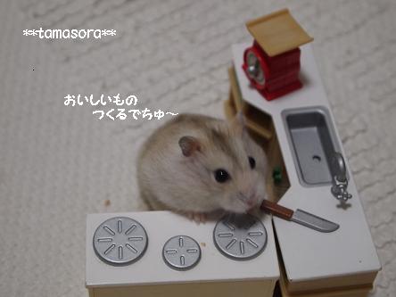 きなこキッチン.JPG