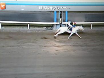 画像 1046.jpg