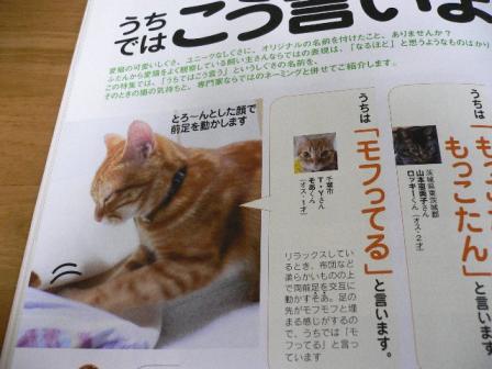 ねこ 650.jpg