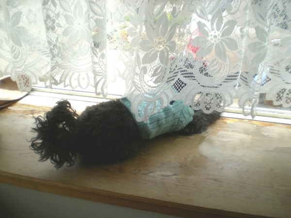 rookie20110509-5.jpg