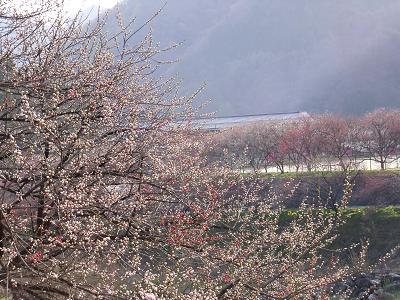 月川温泉はもう少し