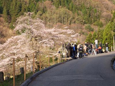 見えてきました