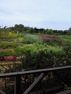 ハーブガーデン カフェから望む風景