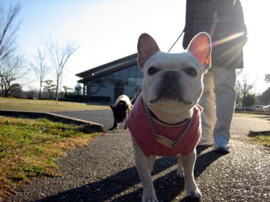 ９・・・お散歩５