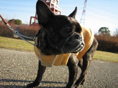 ９・・・お散歩６