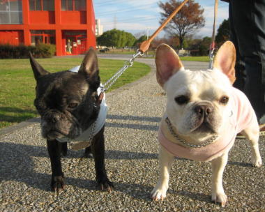 ２２・・・お散歩１