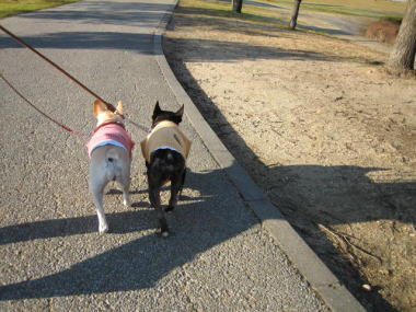 ９・・・お散歩７