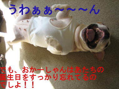 １９・・・愛２