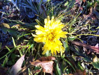 ９・・・お散歩８