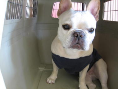 ９・・クレート