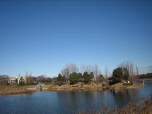 １・２・・・いいお天気