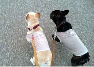 １９・・・おさんぽ