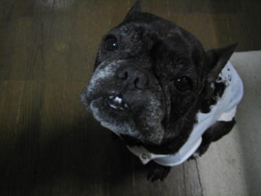 １８・・・ごはん