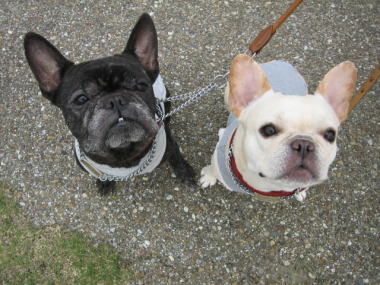 ２４・・・おさんぽ４