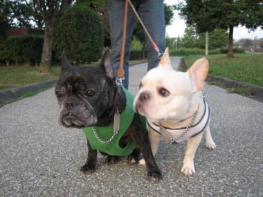 ４・・・おさんぽ１