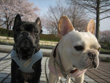 ６・・・お散歩１