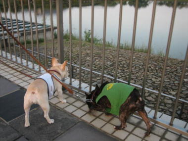 ４・・・おさんぽ２