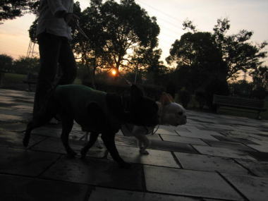 ４・・・おさんぽ３