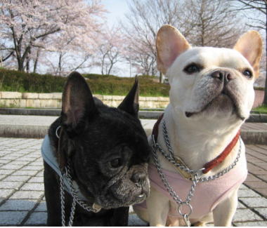 ６・・・お散歩２