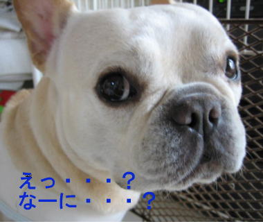 ２３・・・ねもい３