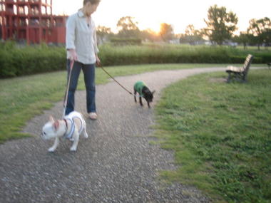 ４・・・おさんぽ４