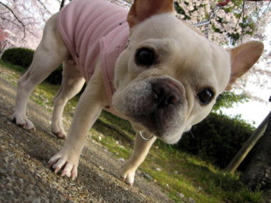 ６・・・お散歩３