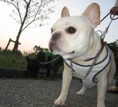 ４・・・おさんぽ６