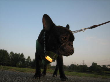 ４・・・おさんぽ７