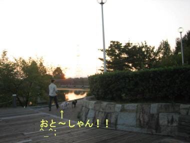 ４・・・おさんぽ９