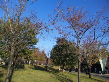 ２０・・・朝１