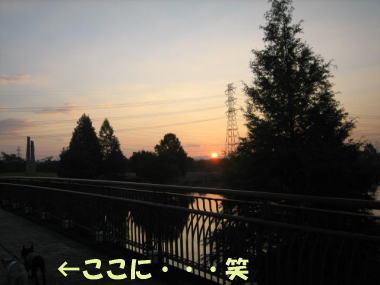 ４・・・あさひ２