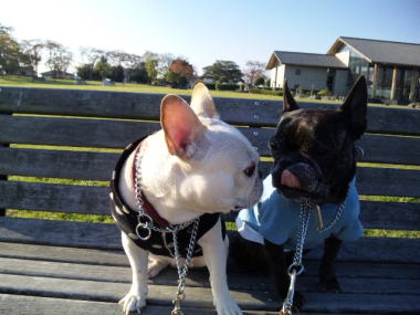 ２０・・・お散歩１