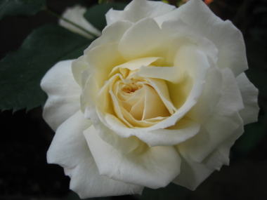 ０９・５月グルスあんあーへん