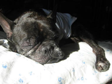 ２０・・・朝寝１