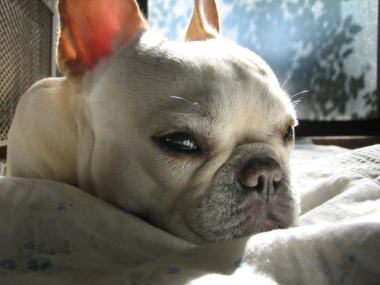 ５・・・眠い１