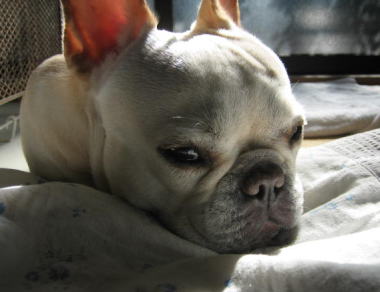 ５・・・眠い２