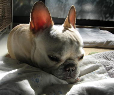 ５・・・ねむい３