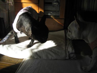 ２３・・・どいて３